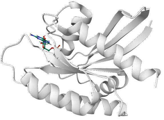 KRAS protein crystal structure (PDB: 4OBE
